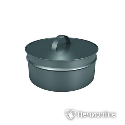 Заглушки Теплов и Сухов Заглушка ревизии Термо-Р 304 0.5 D220(120) в Ирбите