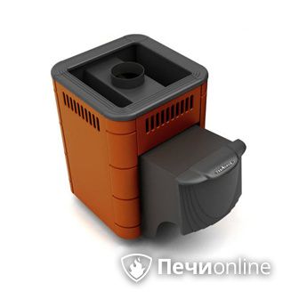 Дровяная банная печь TMF Оса Carbon терракота дверь антрацит в Ирбите